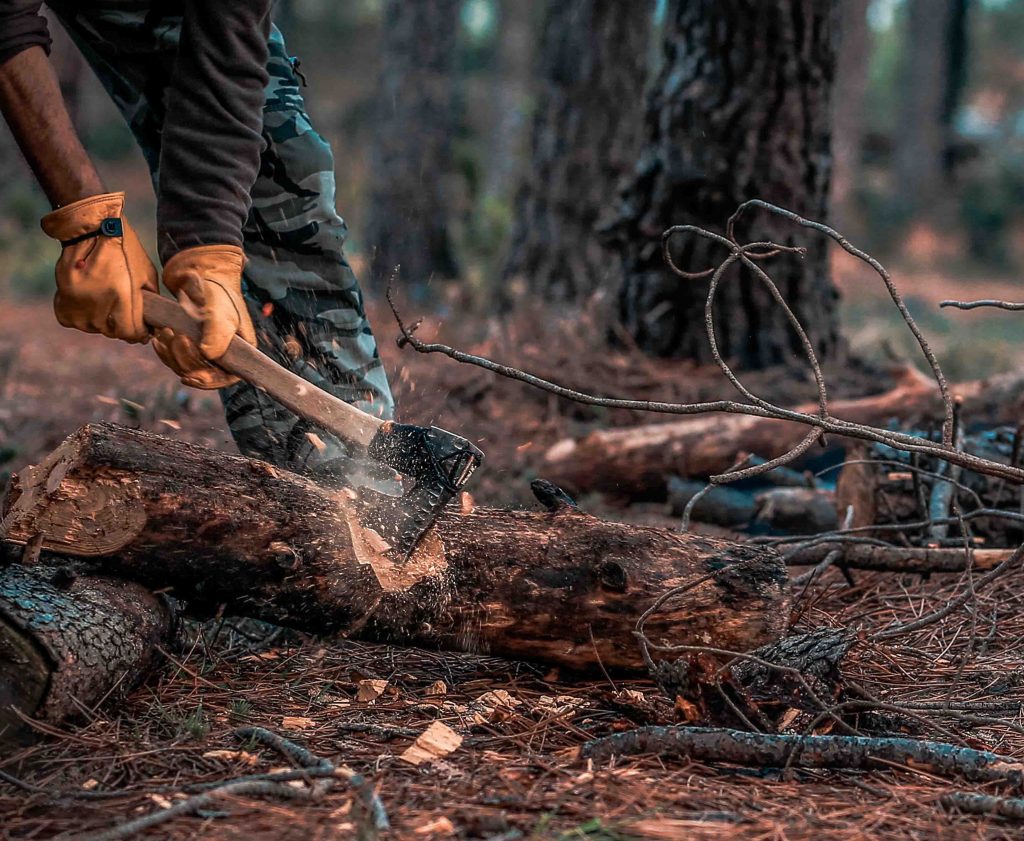 arborist